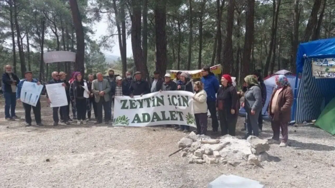 Zeytinliklerin Kesilmesine Direnen 4 İkizköylü Gözaltında!