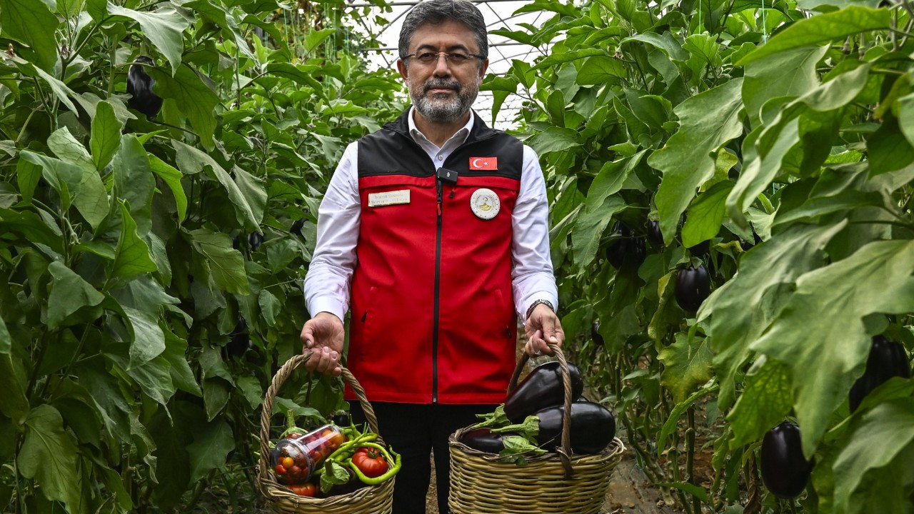 Türkiye İsrail tohumunu mu kullanıyor?