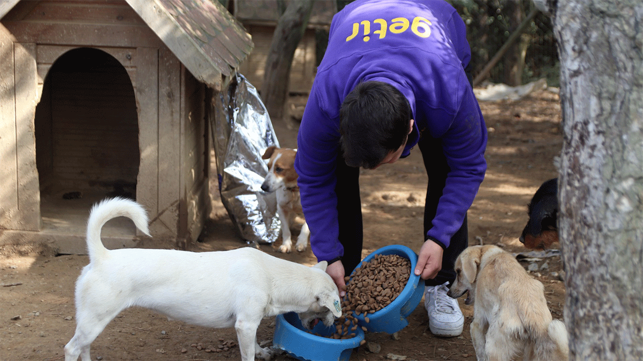 Getir’den bu yıl da 1 milyon kap mama desteği