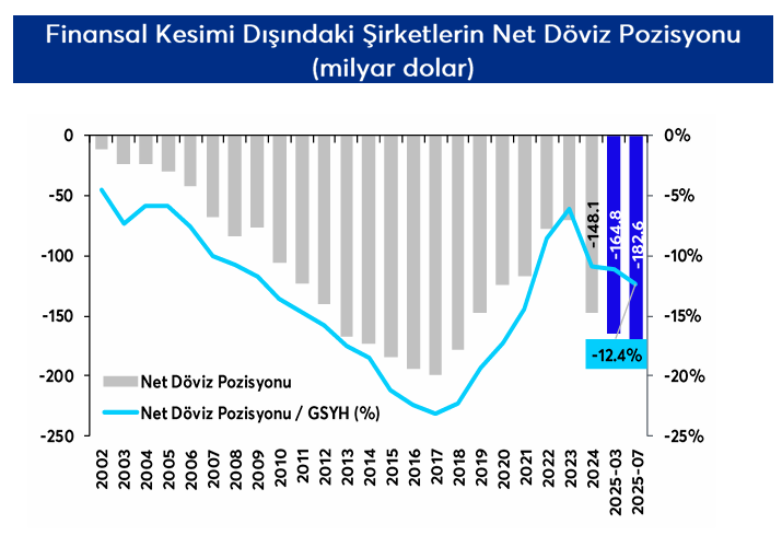 ANALİZ: Şirketlerin Döviz Pozisyonunda Gerileme 