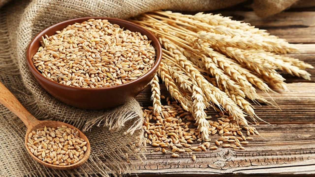 TİGEM’den 4,1 milyon kilo buğday satışı için ihale
