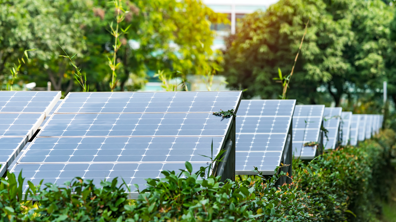 Güneş enerjisi artık dünyanın en ucuz enerji kaynağı