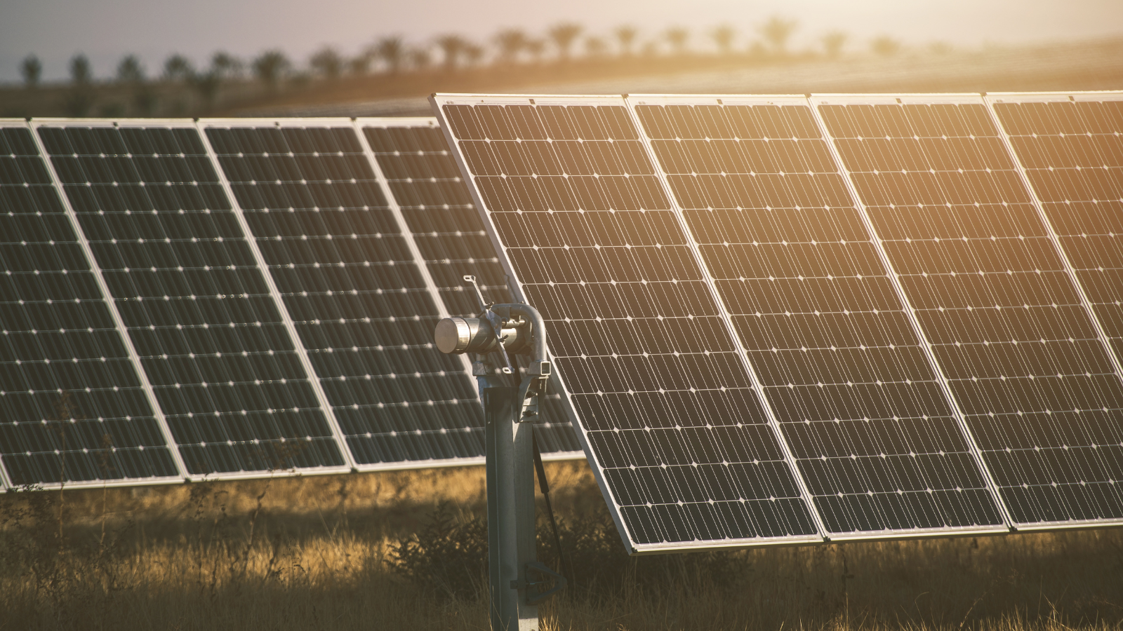 Güneş enerjisi, küresel yenilenebilir büyümenin itici gücü olacak Güneş enerjisi, küresel yenilenebilir büyümenin itici gücü olacak