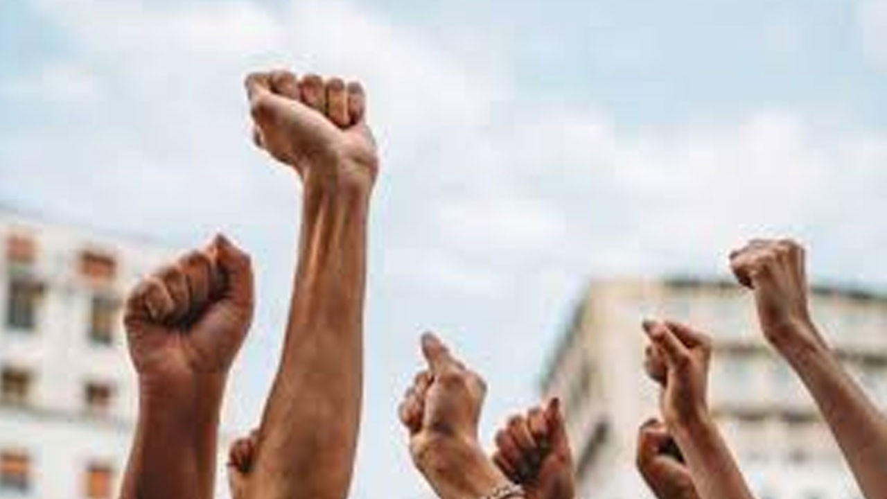Sosyal kontratlar, kolektif aksiyon ve demokrasi