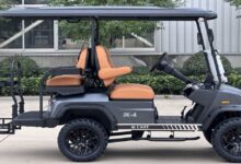 Reeder, Çinli Ortaklarla Samsun’da Elektrikli Araç Üretecek