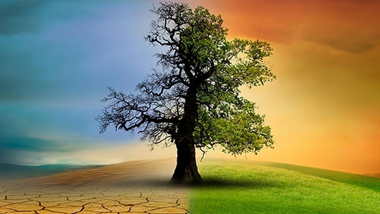 34 göstergenin 22’si tarihi zirvede