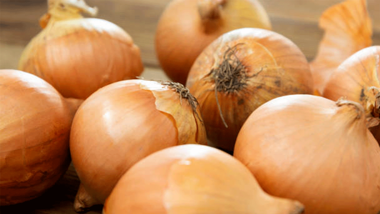 800 Ton Ürün Tarlada Kaldı